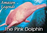 Amazon Legends | The Pink Dolphin