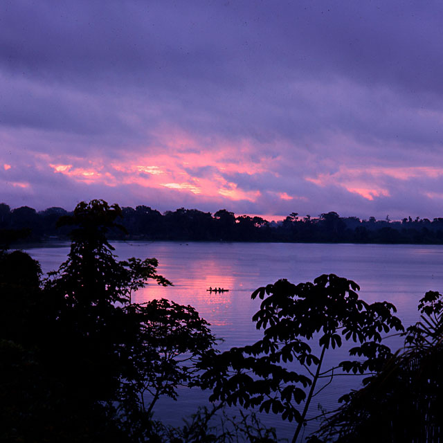 Amazon Rainforest and River