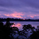 View of Amazon Rainforest and River