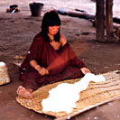 Processing Cotton Fibers