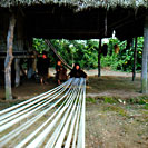 Ashaninka Indian Weaver