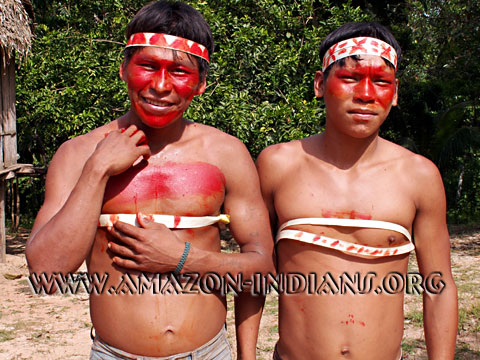 Matses Indians