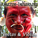 Amazon Indian Photos videos
