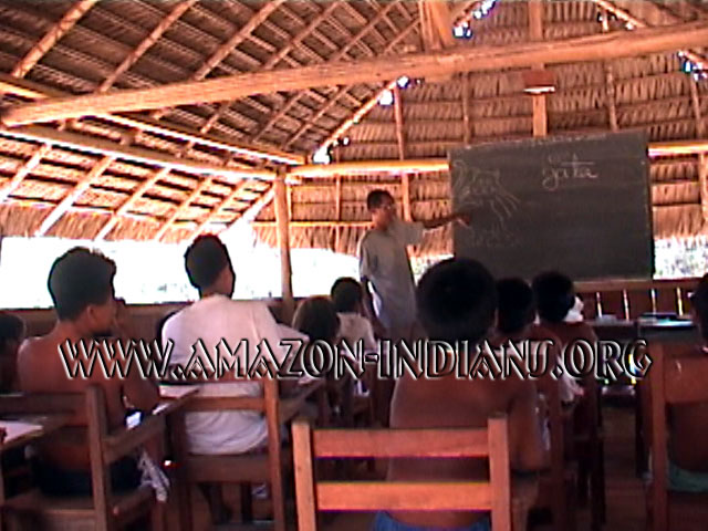 Indigenous Education | Amazonian Indian Survival Indigenous Schools | Amazon Indian Survival