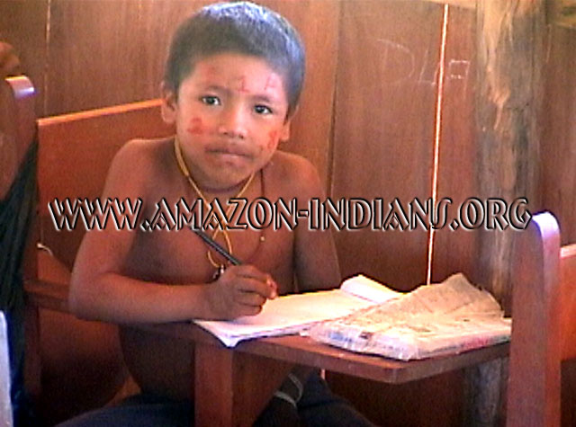 Indigenous Education Indigenous Education and School