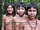 Matis Indian Girls