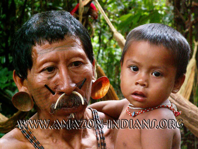 Amazon Native