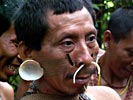 Matis Indian - Amazon Native Tribe