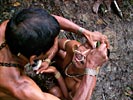 Matis Shaman - Amazon Indian Tribe