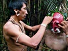 Matis Indian - Amazon Native Tribe - Ceremony of Mariwin