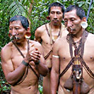 Amazon Native Tribes - Blowguns