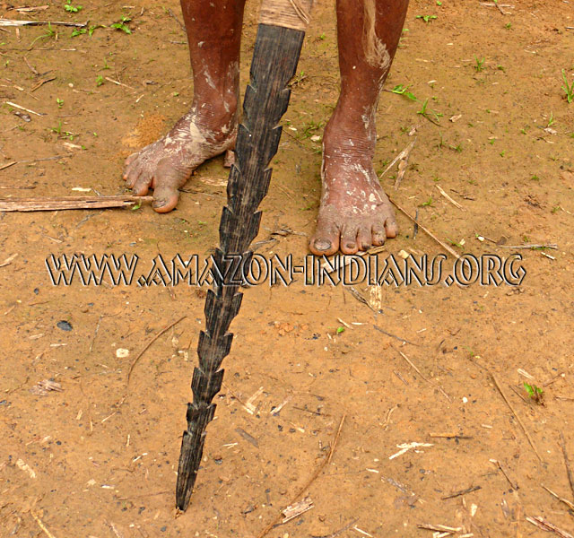 Huaorani Spear with Barbs Huaorani Spear with Barbs