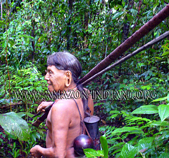 Huaorani Cerbatana | Blowgun Huaorani Cerbatana | Blowgun
