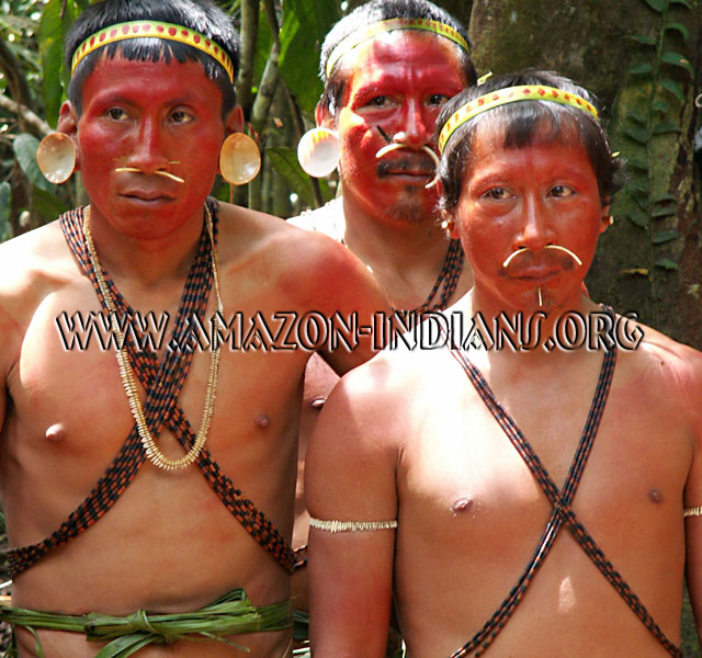Ceremony of Queixada Ceremony of the wild peccary or queixada