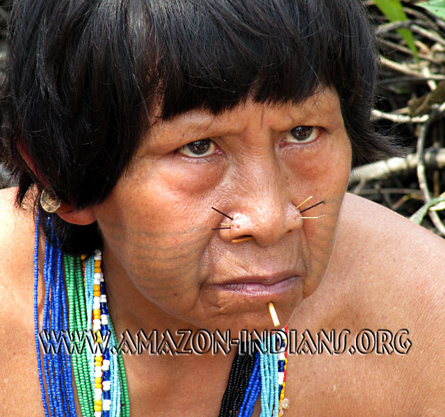The elder woman Chawa Matis The elder Chawa Matis