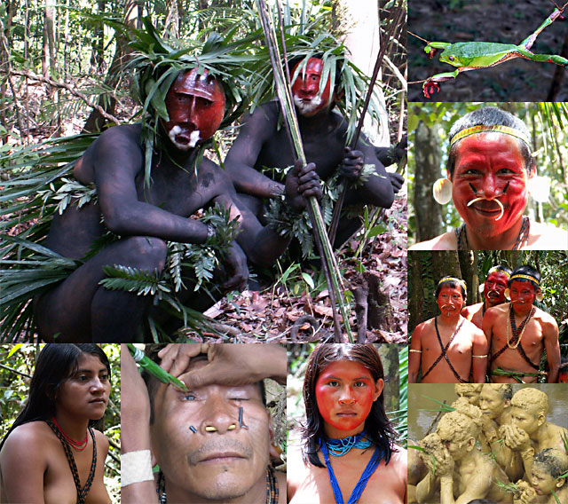 Matis Indians Videos