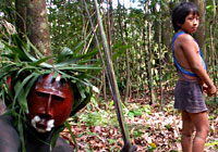 Mariwin Mask - Amazon Indigenous Ceremony