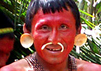Queixada - Amazon Indian Ritual