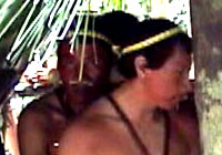 Queixada - Tribal Photos and Videos