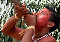 Blowgun Hunting | Amazon Native Tribe