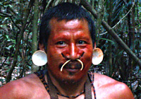 Indian Chief | Cacique