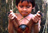 Amazonian tribe hunting monkey