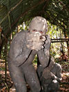 Indigenous People of the Amazon