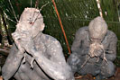 Ceremony of Capybara - Matis Indians