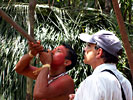 Blowguns - Amazon Native Tribe