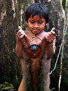 blowgun hunting monkey