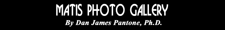 Matis Indian Photo Gallery