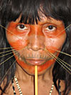 Matses Amazon Native