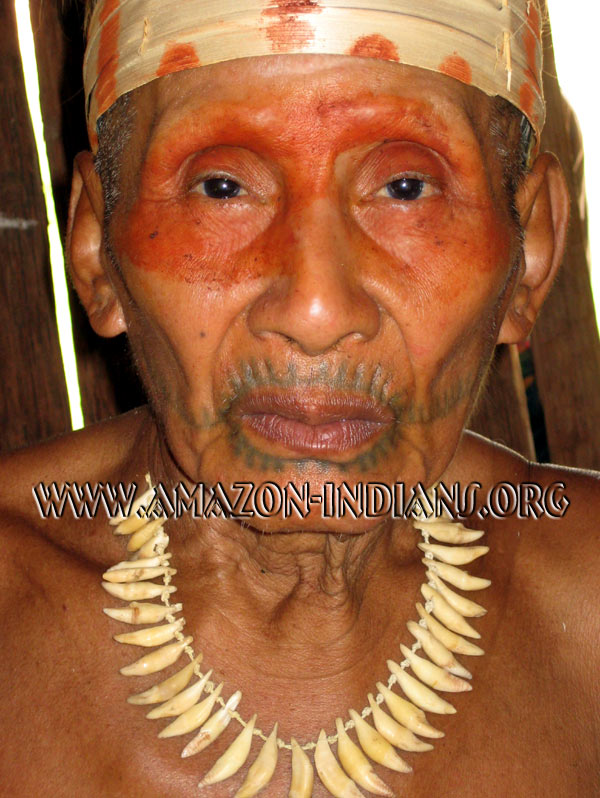 Matses Indian Warrior