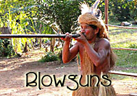 Blowguns